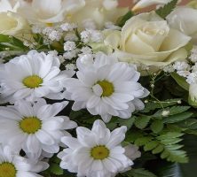 Cremation service in Pensacola FL